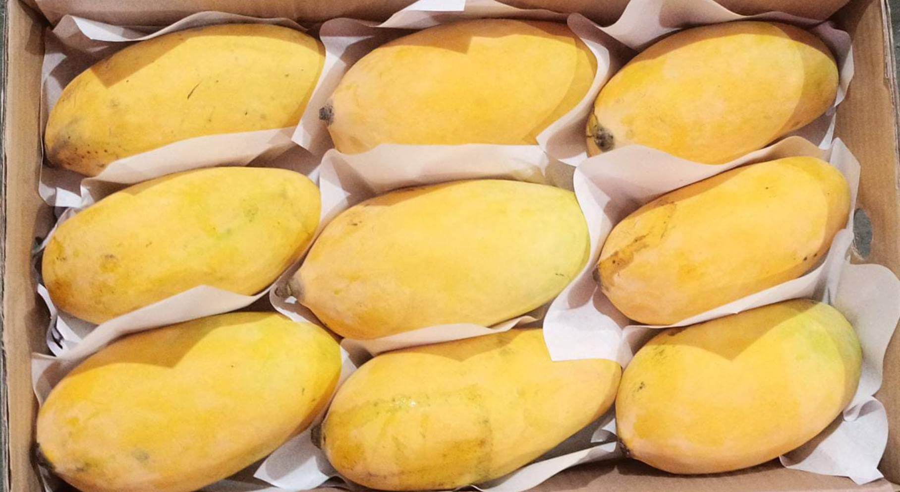Premium Sindhri Mangoes
